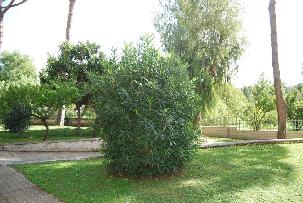 Roma Eur Bed & Breakfast ภายนอก รูปภาพ